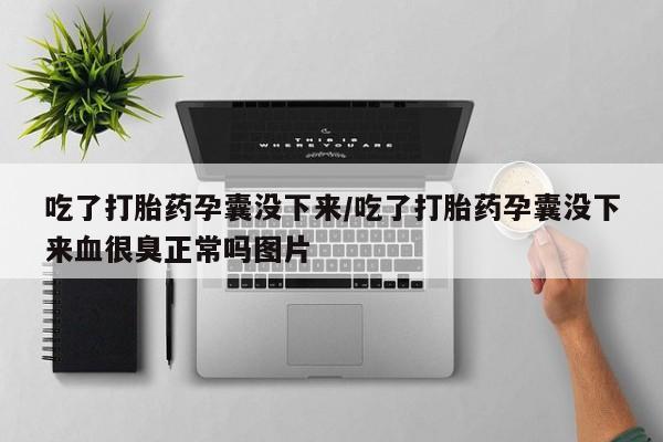 哪里有堕胎药微信吃了打胎药孕囊没下来/吃了打胎药孕囊没下来血很臭正常吗图片